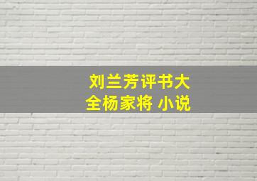 刘兰芳评书大全杨家将 小说